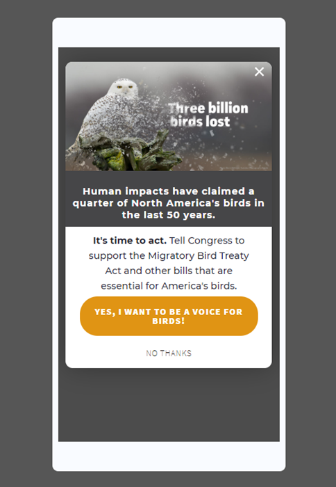 image9 - OptinMonster image9