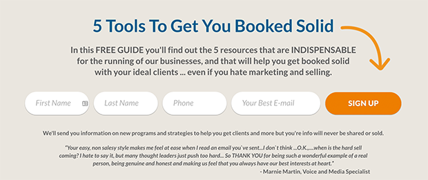 michaelport-optin - OptinMonster michaelport-optin