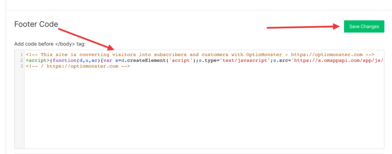 Webflow Footer Code - OptinMonster Webflow Footer Code