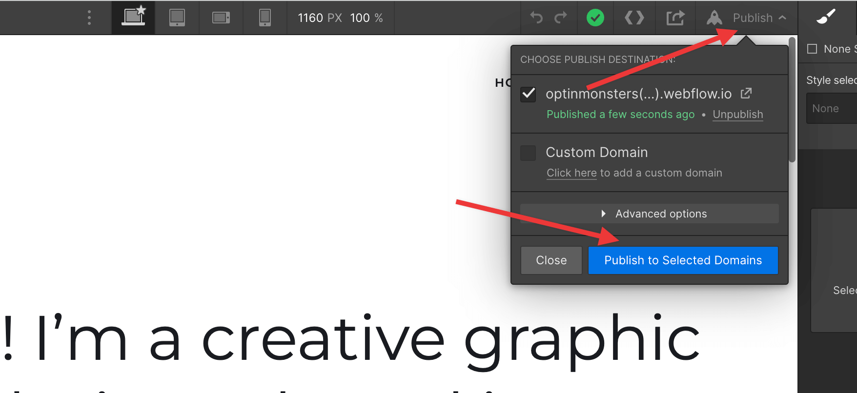 Webflow Publish Page - OptinMonster Webflow Publish Page